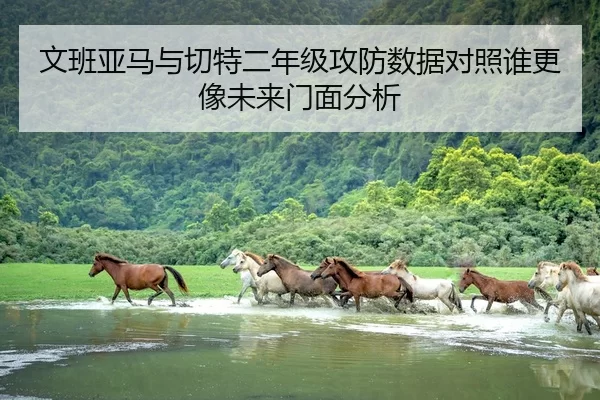 文班亚马与切特二年级攻防数据对照谁更像未来门面分析