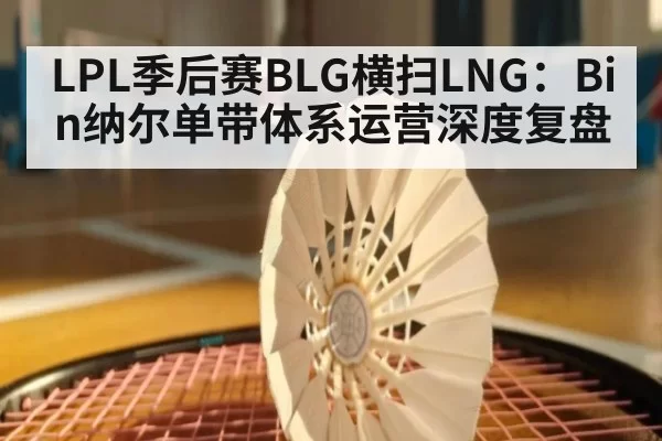 LPL季后赛BLG横扫LNG：Bin纳尔单带体系运营深度复盘
